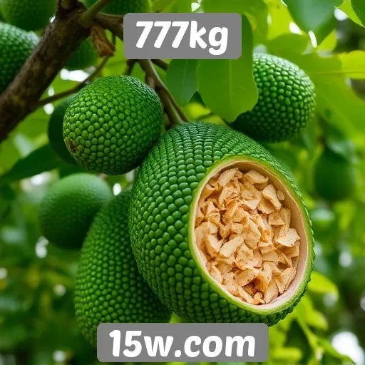 Comparativo de bônus oferecidos pelo 777kg